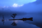 Fiordland 10198.jpg